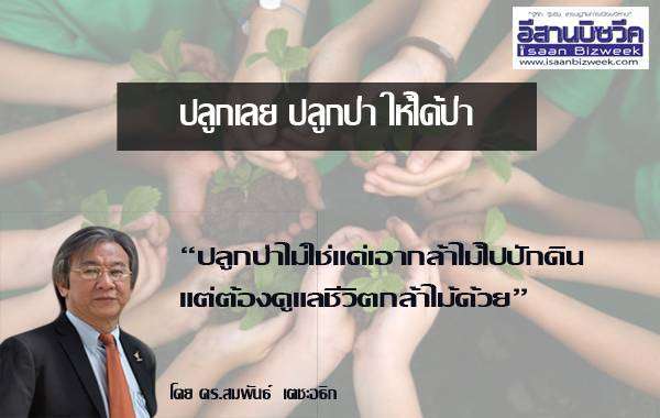 ปลูกเลย ปลูกป่า ให้ได้ป่า