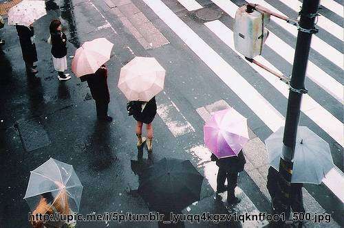 เตรียมพกร่ม! อีสานมีฝนตลอดสัปดาห์ ตกหนักบางแห่ง