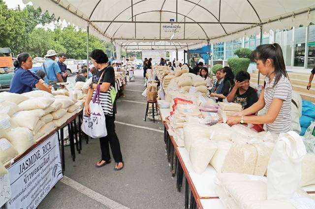 ชาวนาอีสาน บุกตลาดข้าวเมืองกรุง ตัดวงจรพ่อค้าคนกลาง
