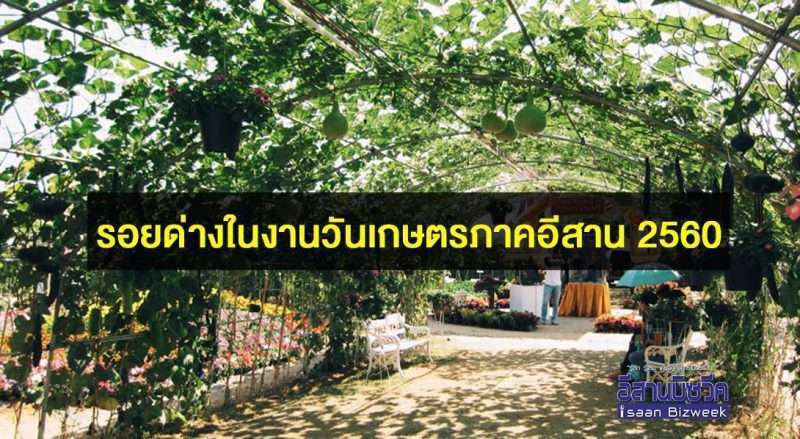 รอยด่างในงานวันเกษตรภาคอีสาน 2560