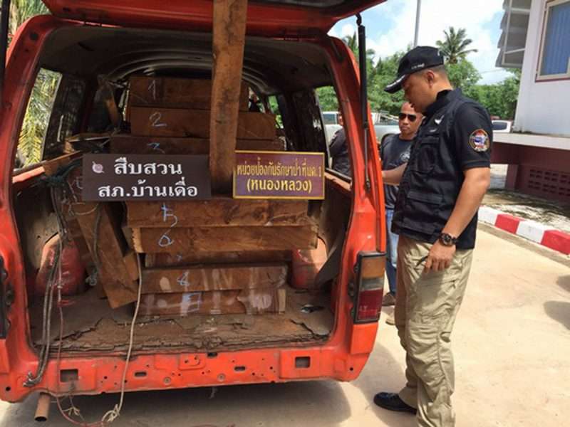 รวบหนุ่มขับรถตู้ขนไม้ ก่อนขยายผลยึดไม้เต็มโกดัง