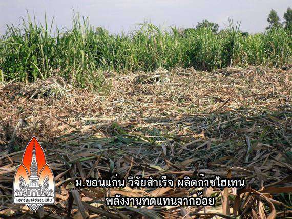 ม.ขอนแก่น วิจัยสำเร็จ ผลิตก๊าซไฮเทน พลังงานทดแทนจากอ้อย