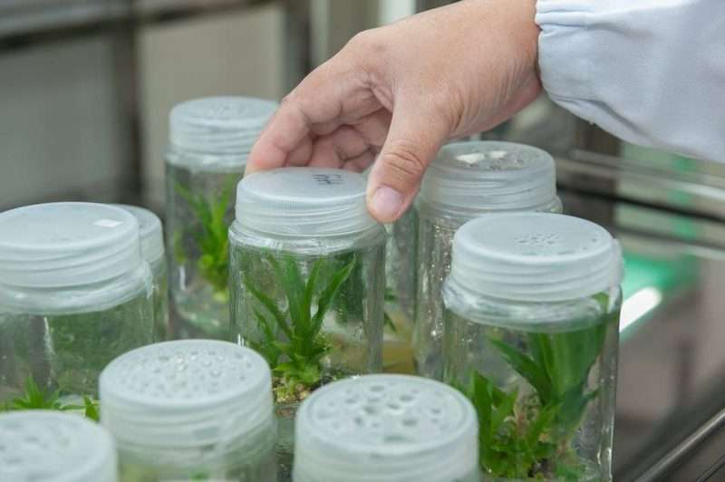 จี้กระทรวงอุตสาหกรรม คลอดเศรษฐกิจชีวภาพ เล็งผุด Bio Complex นำร่องที่ขอนแก่น