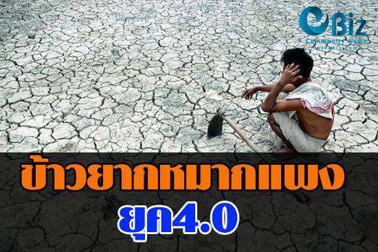 ข้าวยากหมากแพง ยุค 4.0
