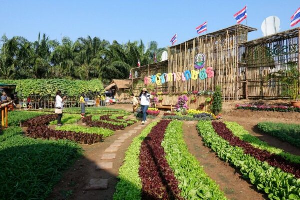 เปิดแล้ว งานเกษตรภาคอีสาน ’62 เดินหน้าดันเกษตรสู่ยุค4.0