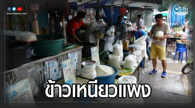 ข้าวเหนียวราคาพุ่ง แพงสุดในประวัติศาสตร์ ข้าวเหนียวราคาพุ่ง แพงสุดในประวัติศาสตร์