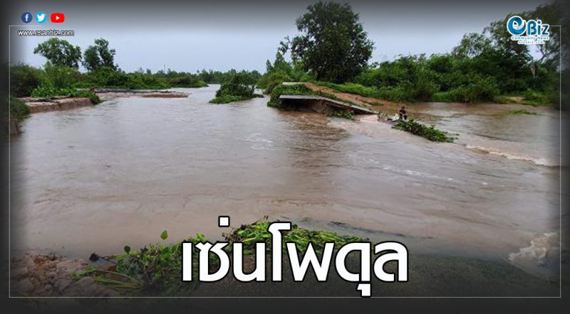 เซ่นพายุ “โพดุล” จมน้ำดับ 1 รายที่อุบลฯ เกษตรกรเร่งย้ายแม่พันธุ์หมู