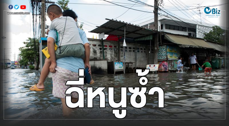 น้ำท่วม “ระวังโรคฉี่หนู” อึ้ง ทำชาวบ้านตายไปแล้ว 16 ราย