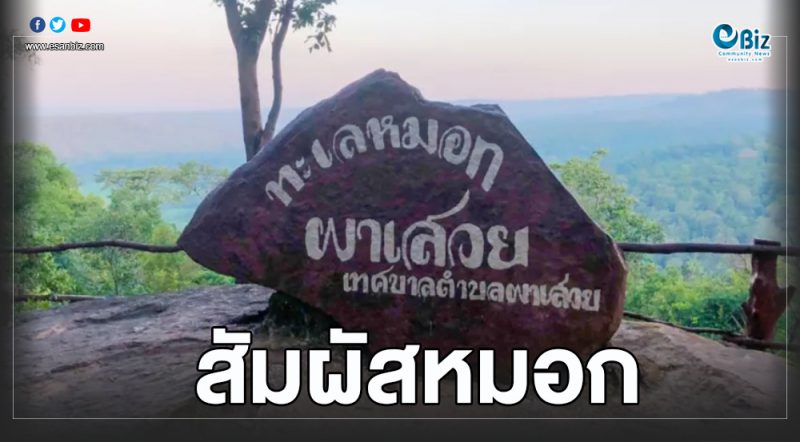 กาฬสินธุ์ เริ่มหนาวเย็น ชวนนักท่องเที่ยวสัมผัสไอหมอกที่ ผาเสวย ภูพาน
