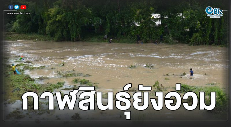 ลำน้ำปาวยังเอ่อล้น ไหลท่วมนาข้าวและบ้านเรือนชาวกาฬสินธุ์ เป็นวงกว้าง