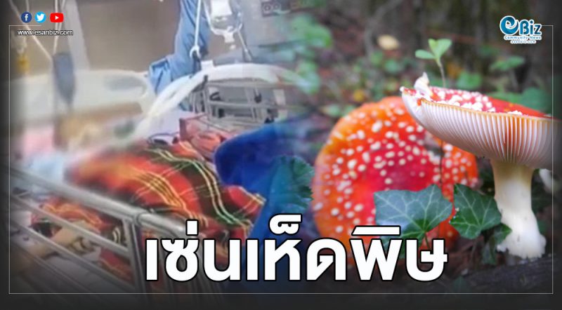 สลดอีกเด็กชาย 7 ขวบเซ่นกินเห็ดพิษดับ