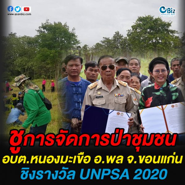 ชูผลงานการจัดการป่าชุมชน อบต.หนองมะเขือ อ.พล จ.ขอนแก่น ชิงรางวัล UNPSA 2020