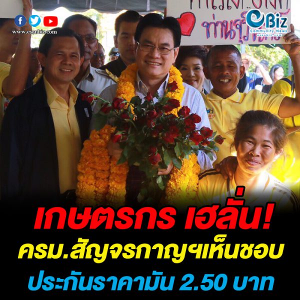 เกษตรกร เฮลั่น! ครม.สัญจรเห็นชอบ ประกันราคามัน 2.50 บาท เกษตรกร เฮลั่น! ครม.สัญจรเห็นชอบ ประกันราคามัน 2.50 บาท
