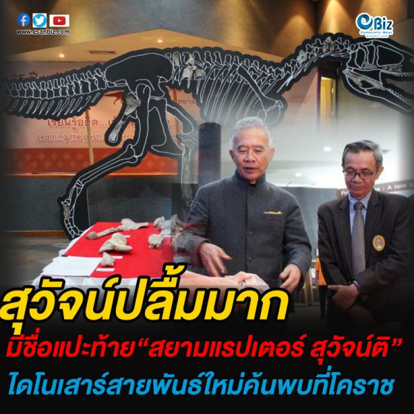เปิดตัวไดโนเสาร์โคราชกินเนื้อสายพันธุ์ใหม่ขนาดใหญ่ของโลก! สยามแรปเตอร์ สุวัจน์ติ