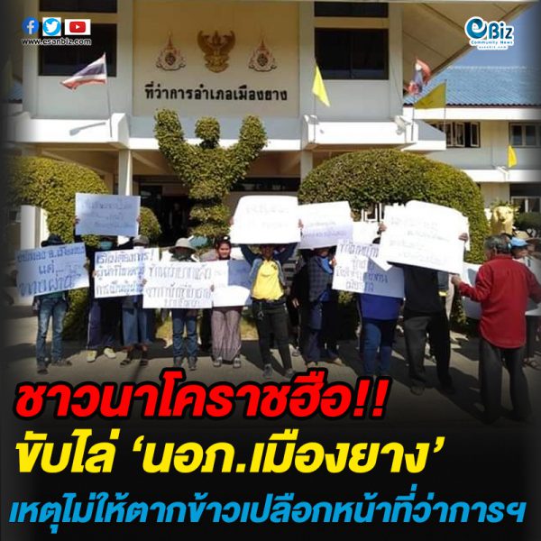 ชาวนาโคราชชูป้ายขับไล่ ‘นอภ.เมืองยาง’ เหตุไม่ให้ตากข้าวเปลือกหน้าที่ว่าการอำเภอ