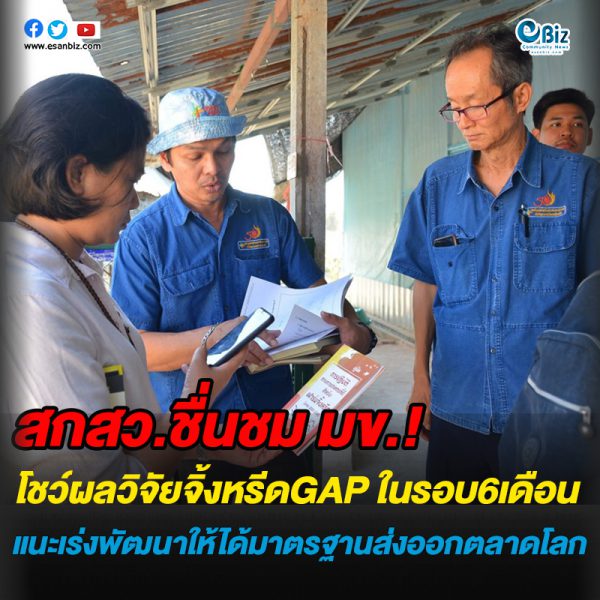 สกสว.ชื่นชม มข.!โชว์ผลวิจัยจิ้งหรีดGAP ในรอบ6เดือน