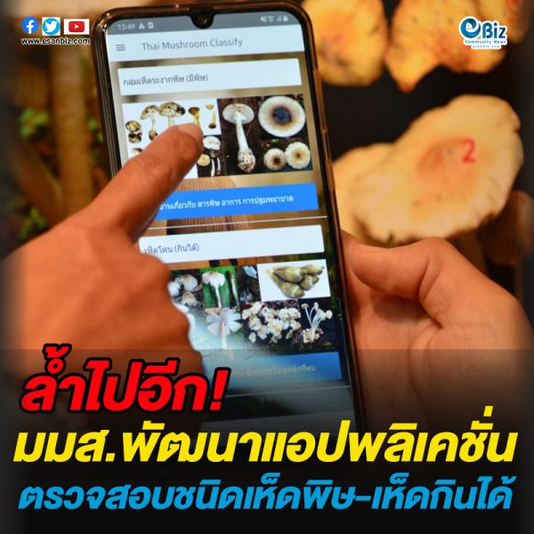 ‘มมส’ พัฒนา Application ตรวจสอบชนิดเห็ดพิษและเห็ดกินได้