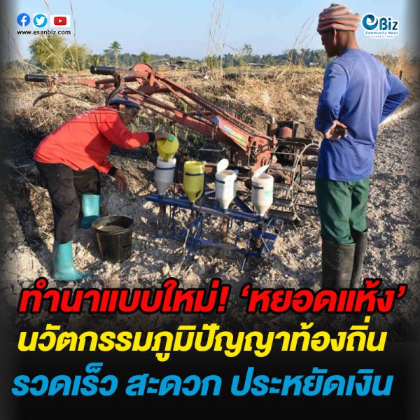 ทำนาแบบใหม่! ‘หยอดแห้ง’นวัตกรรมภูมิปัญญาท้องถิ่น รวดเร็ว สะดวก ประหยัดเงิน