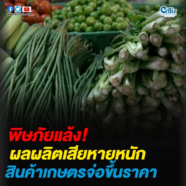 พิษภัยแล้ง!ผลผลิตเสียหายหนักสินค้าเกษตรจ่อขึ้นราคา