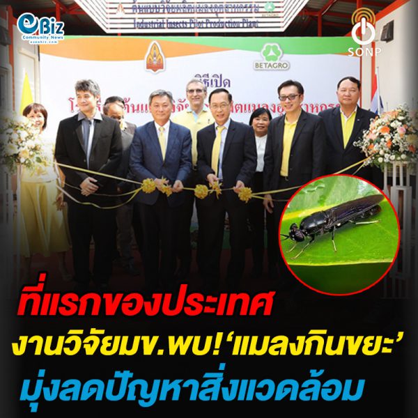 ที่แรกของประเทศ งานวิจัยมข.พบ!‘แมลงกินขยะ’มุ่งลดปัญหาสิ่งแวดล้อม