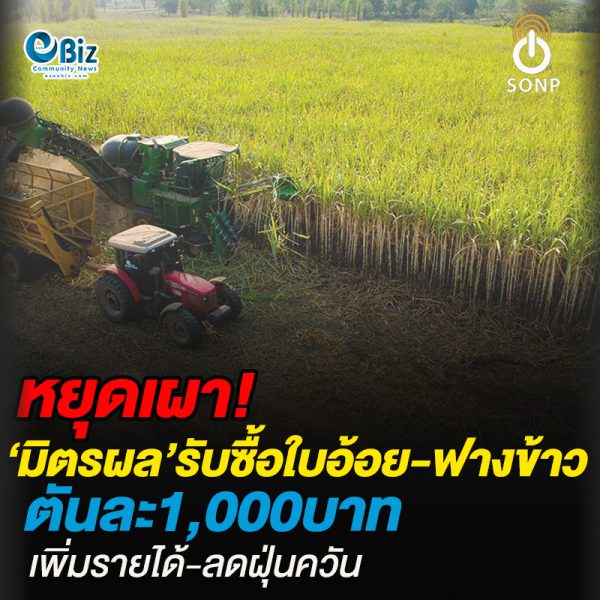 หยุดเผา!มิตรผล’รับซื้อใบอ้อย-ฟางข้าวตันละ1,000บาท