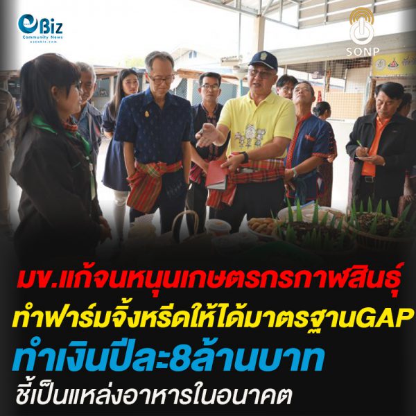 มข.แก้จนหนุนเกษตรกรกาฬสินธุ์ ทำฟาร์มจิ้งหรีดให้ได้มาตรฐานGAP ทำเงินปีละ8ล้านบาท ชี้เป็นแหล่งอาหารในอนาคต