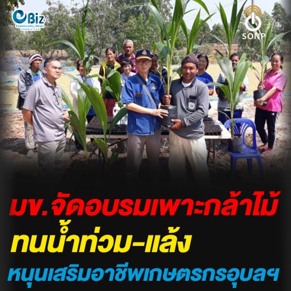 มข.จัดอบรมเพาะกล้าไม้ทนน้ำท่วม-แล้งหนุนเสริมอาชีพเกษตรกรอุบลฯ มข.จัดอบรมเพาะกล้าไม้ทนน้ำท่วม-แล้งหนุนเสริมอาชีพเกษตรกรอุบลฯ