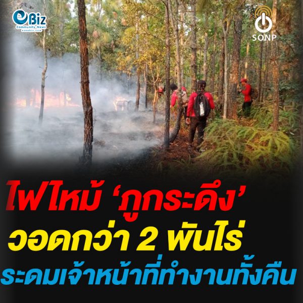 ไฟไหม้ ‘ภูกระดึง’วอดกว่า 2 พันไร่ระดมเจ้าหน้าที่ทำงานทั้งคืน
