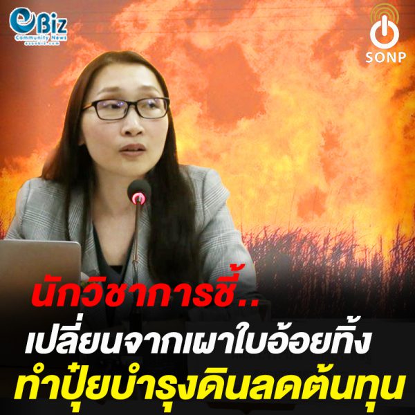 นักวิชาการชี้ เปลี่ยนจากเผาใบอ้อยทิ้ง ทำปุ๋ยบำรุงดินลดต้นทุน นักวิชาการชี้ เปลี่ยนจากเผาใบอ้อยทิ้ง ทำปุ๋ยบำรุงดินลดต้นทุน