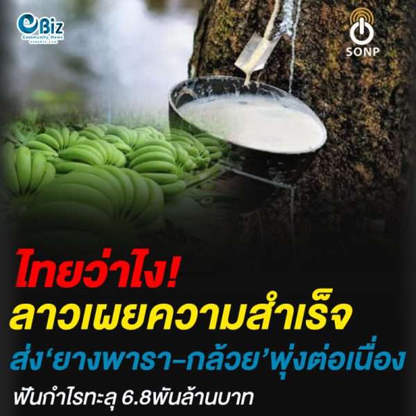 ลาวเผยความสำเร็จ ดันส่งออกยางพารา-กล้วย เพิ่มขึ้นต่อเนื่อง