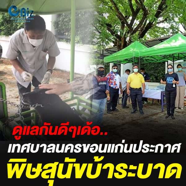 เทศบาลนครขอนแก่นสั่งด่วน หลังพบสุนัขตายด้วยโรคพิษสุนัขบ้า