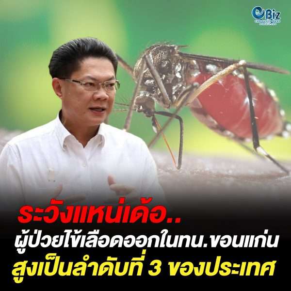 ระวังแหน่เด้อ.. ผู้ป่วยไข้เลือดออกในเขตเทศบาลนครขอนแก่นสูงเป็นลำดับ 3 ของประเทศ