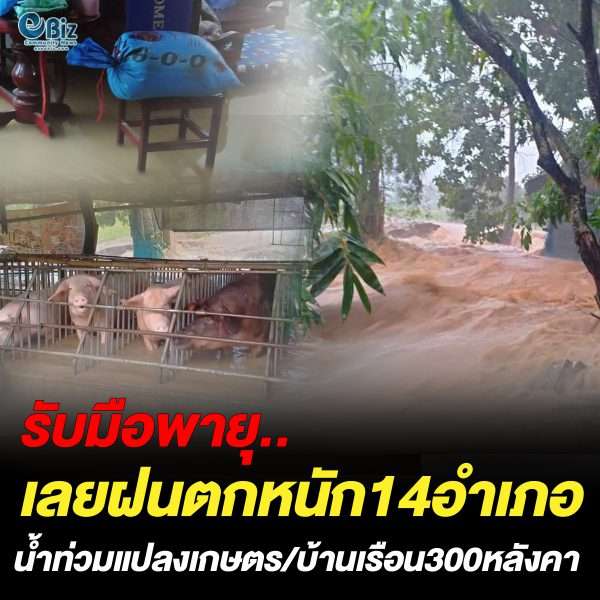 เลยฝนตกหนัก 14 อำเภอ น้ำป่าทะลักท่วมแปลงเกษตรและบ้านเรือน 300 หลัง เลยฝนตกหนัก 14 อำเภอ น้ำป่าทะลักท่วมแปลงเกษตรและบ้านเรือน 300 หลัง