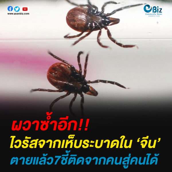 ผวาซ้ำอีก!!ไวรัสจากเห็บระบาดใน ‘จีน’ตายแล้ว7ชี้ติดจากคนสู่คนได้