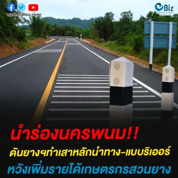 นำร่องนครพนม ดันยางพาราทำเสาหลักนำทาง-แบบริเออร์หวังเพิ่มรายได้เกษตรกรสวนยาง