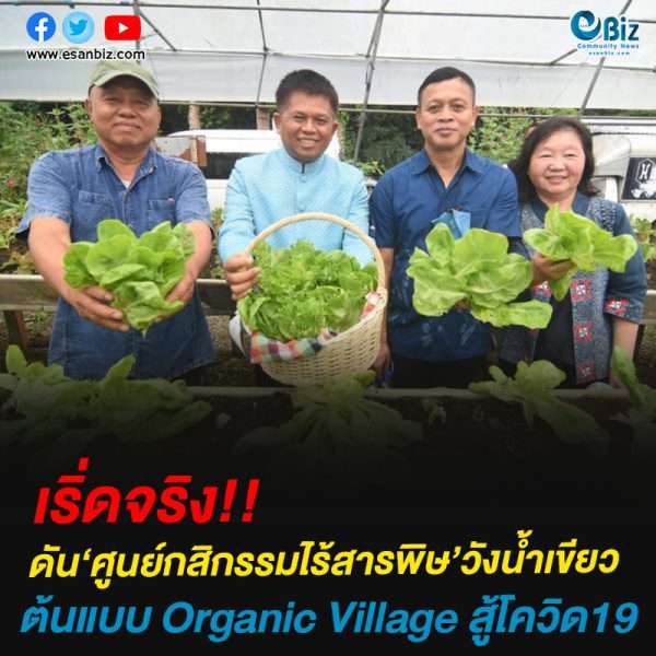 เล็งดัน ‘ศูนย์กสิกรรมไร้สารพิษ’วังน้ำเขียวเป็นต้นแบบ Organic Village สู้โควิด19