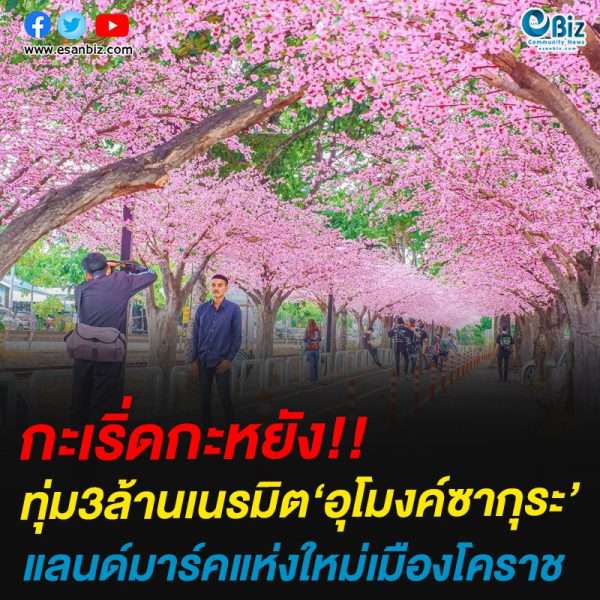 กะเริ่ดกะหยัง!!ทุ่ม3ล้านเนรมิต‘อุโมงค์ซากุระ’แลนด์มาร์คแห่งใหม่เมืองโคราช
