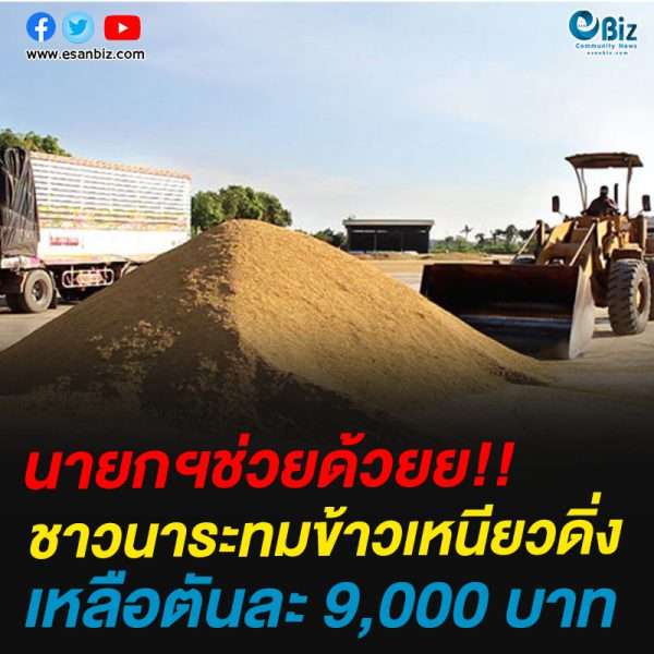ชาวนาระทมข้าวเปลือกเหนียวดิ่งเหลือตันละ 9,000 บาท