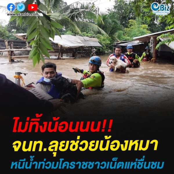 จนท.ลุยช่วยน้องหมาหนีน้ำท่วมโคราช