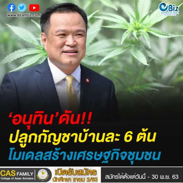 ‘อนุทิน’ดัน!!ปลูกกัญชาบ้านละ 6 ต้นโมเดลสร้างเศรษฐกิจชุมชน