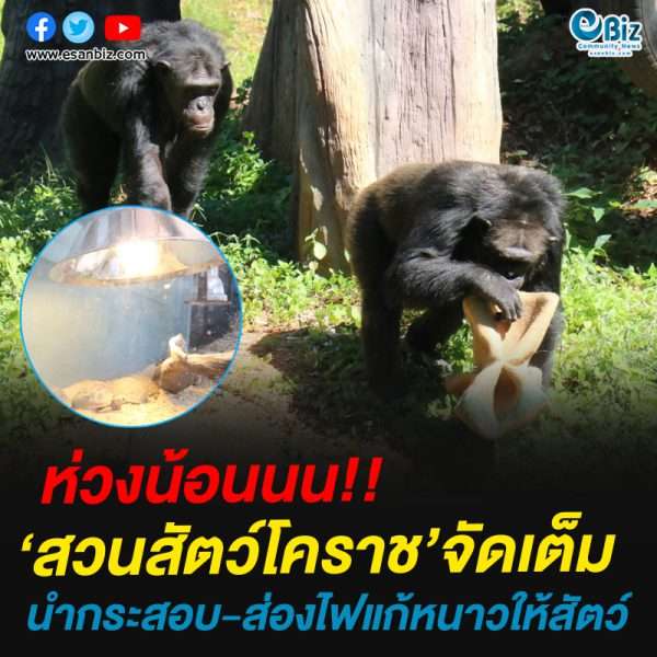 ‘สวนสัตว์โคราช’จัดเต็มหากระสอบ-ส่องไฟแก้หนาวให้สัตว์