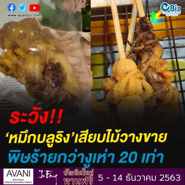 ระวัง!!หมึกบลูริง’เสียบไม้วางขายพิษร้ายกว่างูเห่า 20 เท่า