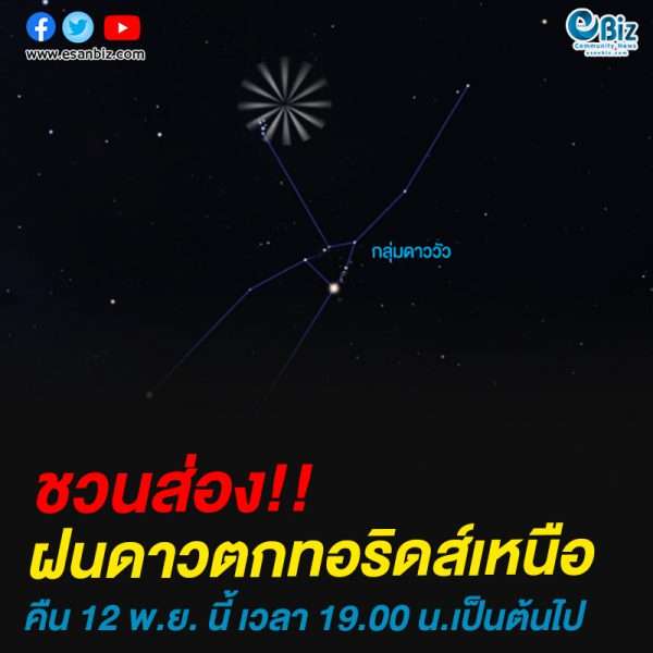 ชวนส่อง!!ฝนดาวตกทอริดส์เหนือคืน 12 พ.ย. นี้ เวลา 19.00 น.เป็นต้นไป