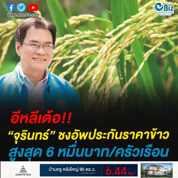อีหลีเด้อ!!“จุรินทร์” ชงอัพประกันราคาข้าวสูงสุด 6 หมื่นบาท/ครัวเรือน