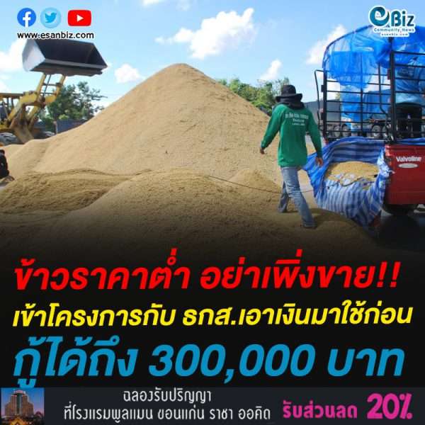 ชาวนาเฮ! รัฐออก 2 โครงการคู่ขนาน “ประกันรายได้” อัดเงินทุนช่วยเหลือชาวนา