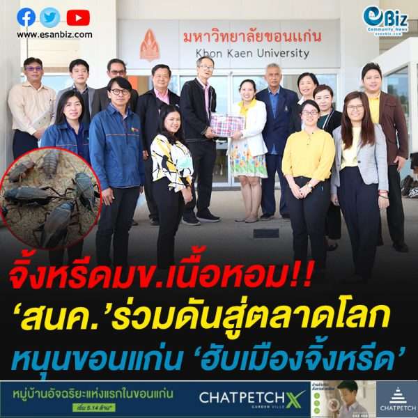 จิ้งหรีดมข.เนื้อหอม!!สนค.’ร่วมดันสู่ตลาดโลกหนุนขอนแก่น ‘ฮับเมืองจิ้งหรีด’