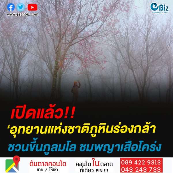 เปิดแล้ว!!‘อุทยานแห่งชาติภูหินร่องกล้าชวนขึ้นภูลมโล เที่ยวรับลมหนาว ชมดอกนางพญาเสือโคร่ง