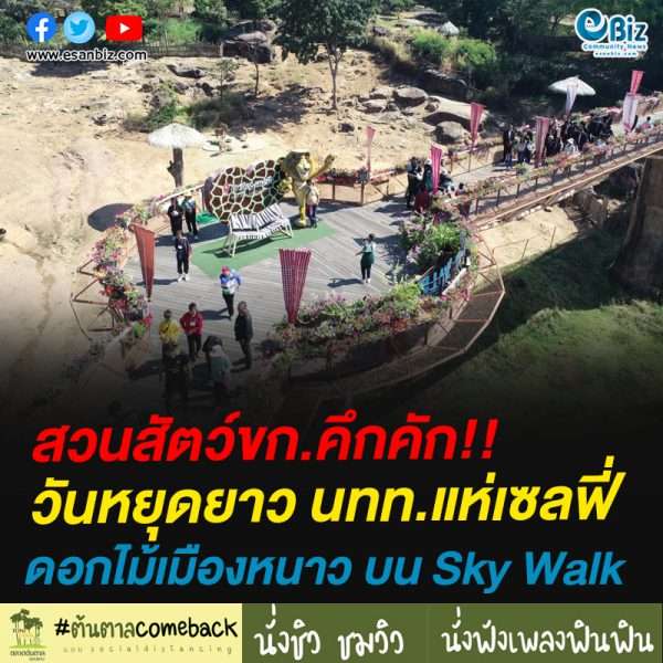 สวนสัตว์ขอนแก่นคึกคักวันหยุดยาว นทท.แห่เซลฟี่ดอกไม้เมืองหนาว บน Sky Walk