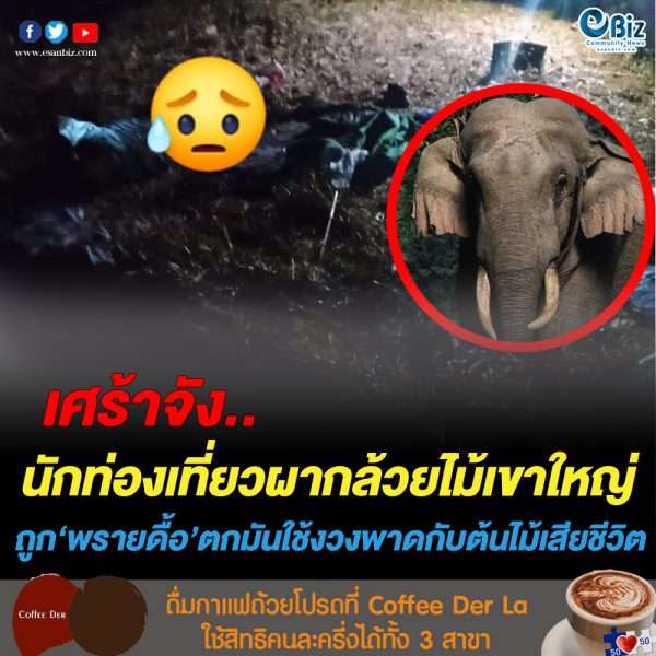 “พรายดื้อ” ช้างป่าเขาใหญ่ตกมัน ทำร้ายนักท่องเที่ยวเสียชีวิต