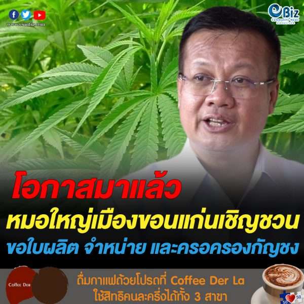 หมอใหญ่​เมืองขอนแก่นเชิญชวน ขอใบอนุญาตกัญชง